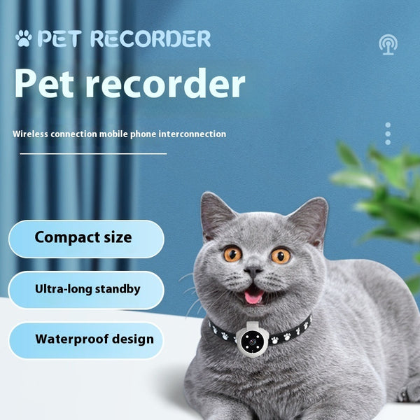 PetView Pet Camera Halsband