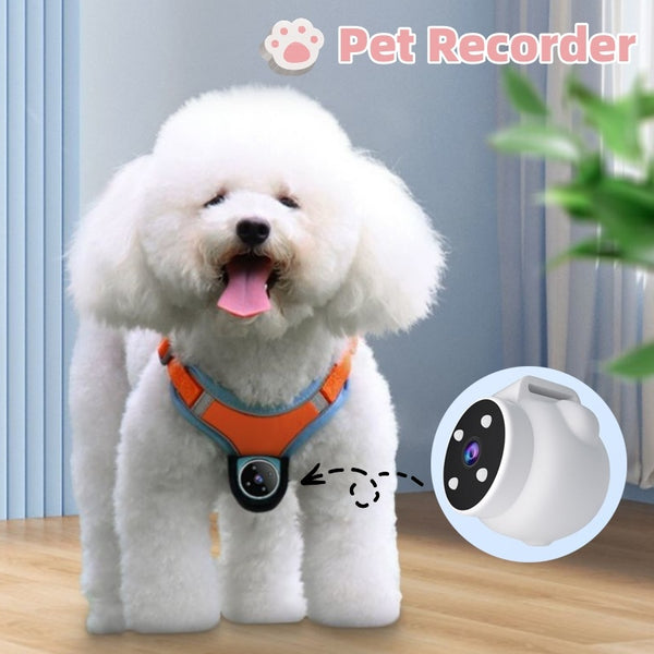 PetView Pet Camera Halsband